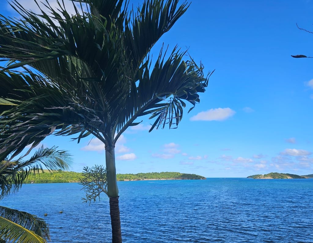 WhatsApp Image 2025-12-28 at 14.07.47 (1)