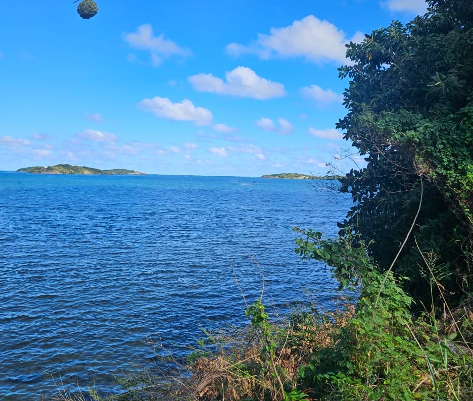 WhatsApp Image 2025-12-28 at 14.07.47 (2)