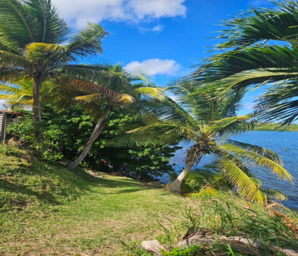 WhatsApp Image 2025-12-28 at 14.07.48 (1)